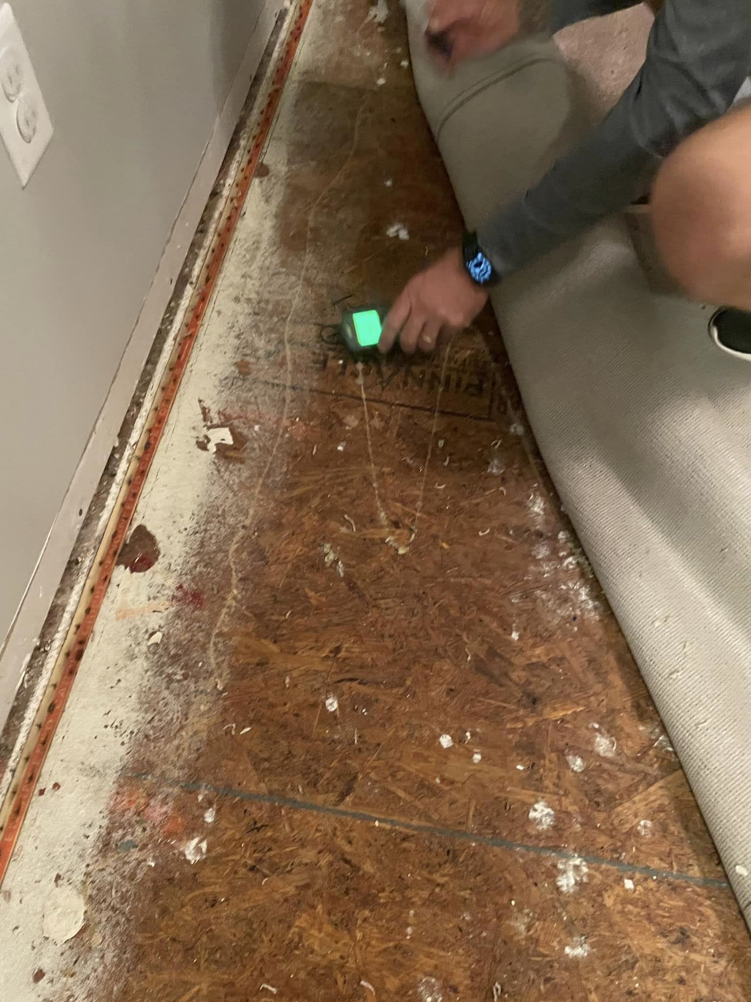 Water And Mold Damage Restoration Jacksonville