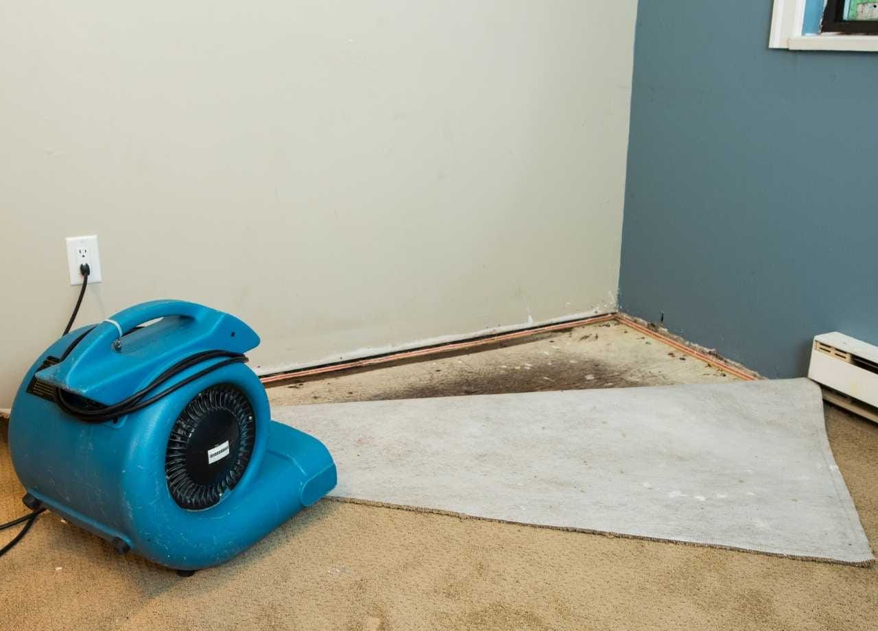 Flood Restoration Cleaning