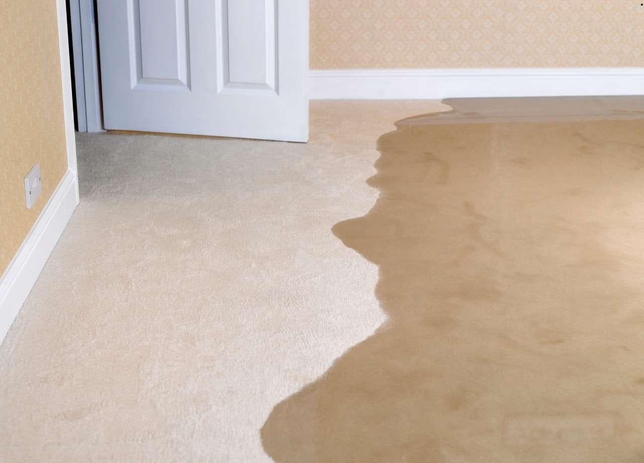 Flood Damage