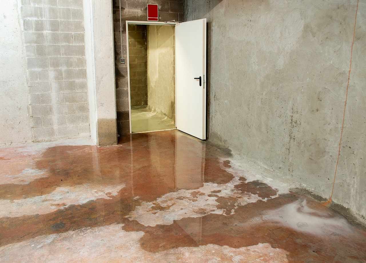 Basement Flood