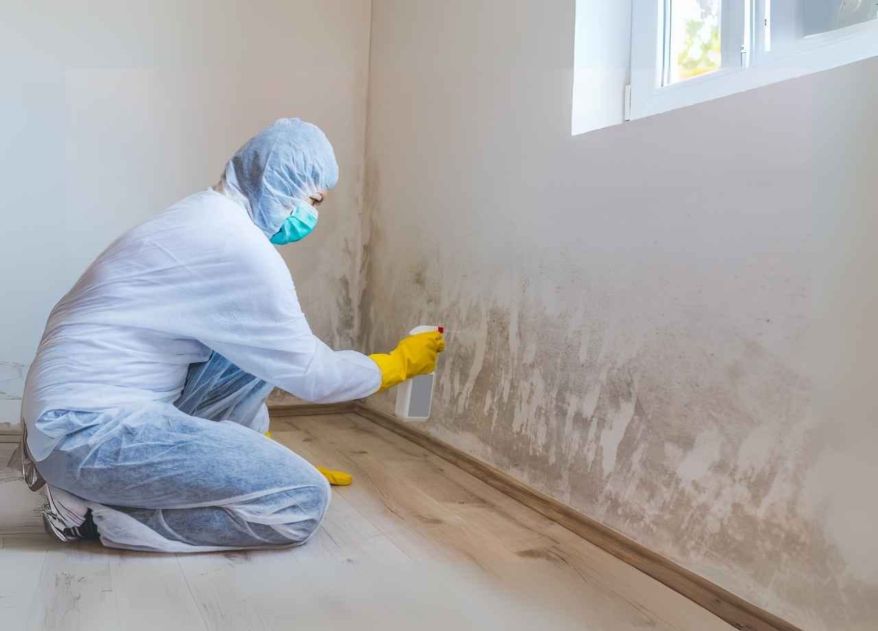 Water Damage &Amp; Mold Removal In Orange Park
