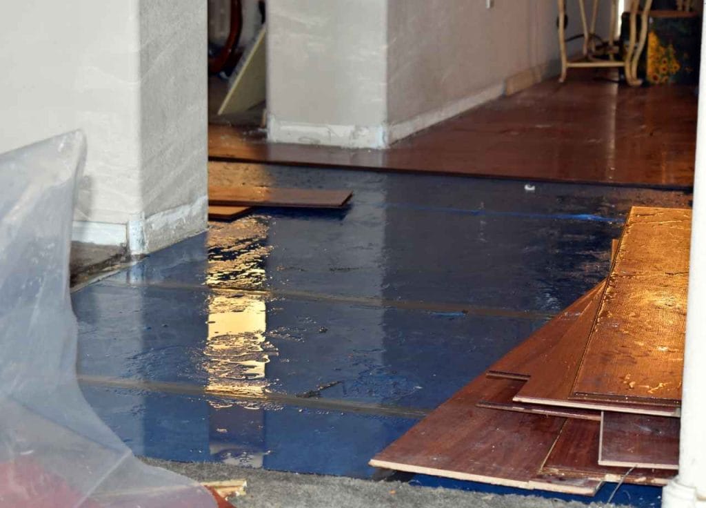 What Does Water Damage Smell Like? How To Detect Hidden Moisture Problems 2 Don’t Rely On Smell Alone