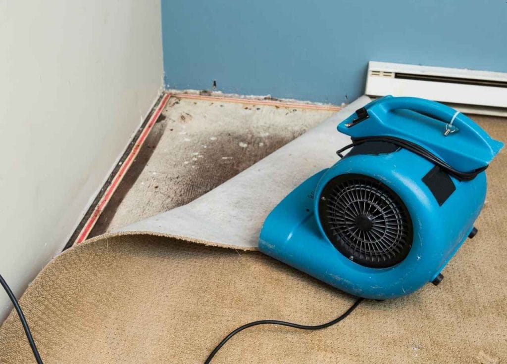 How Long Should You Run Fans After Water Damage? Do They Speed Up Recovery? 1 Why Airflow Matters After Water Damage