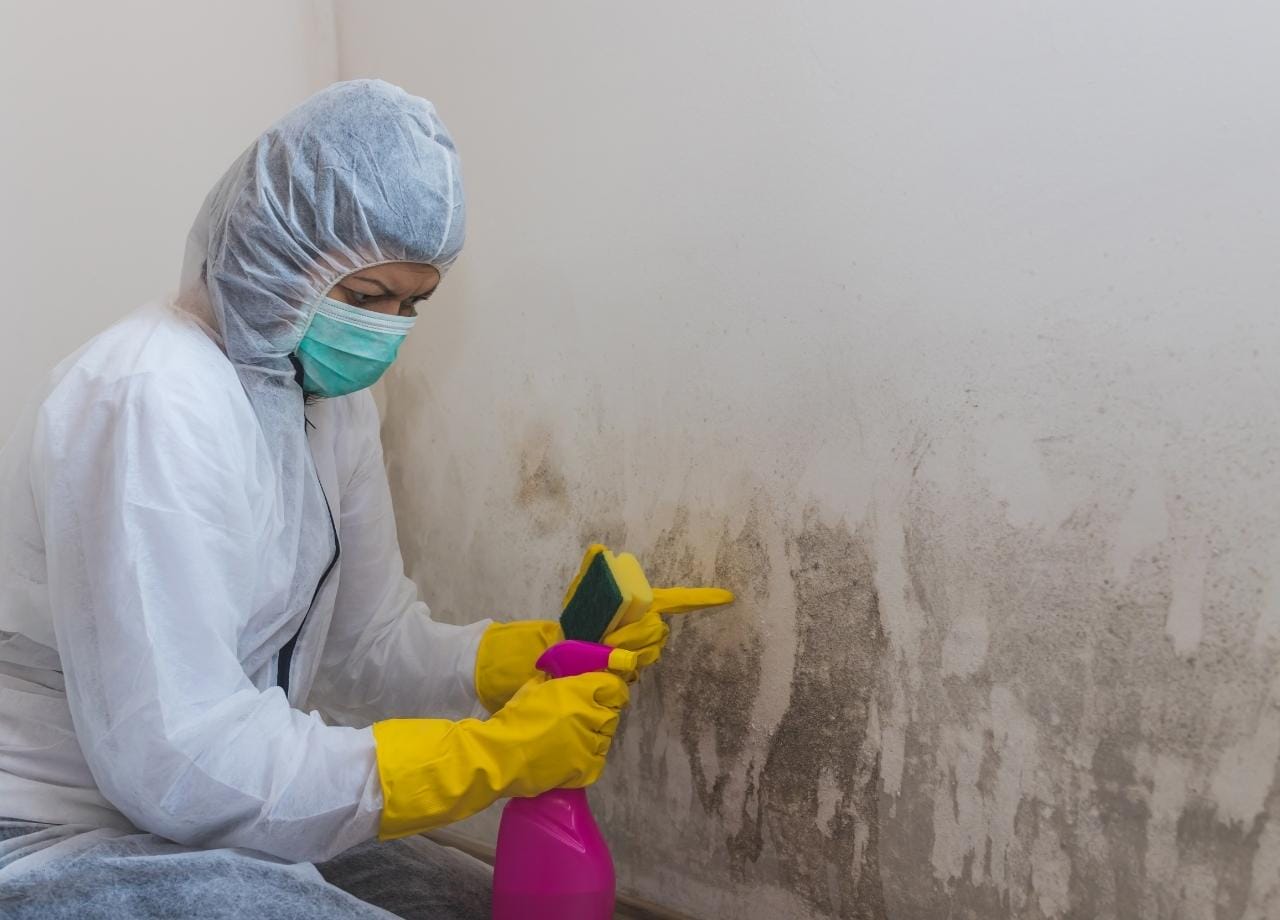 how to speed up water damage drying