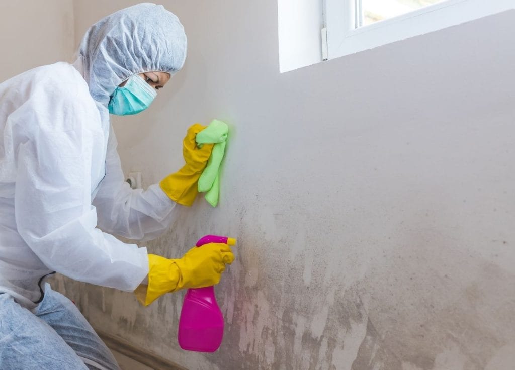 Water Damage &Amp; Mold Removal In Fernandina