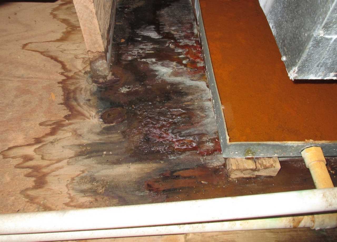 water damage categories